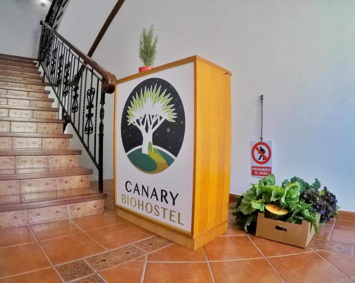 Canary Bio Hostel Tenerife Los Realejos Exterior foto